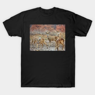 Roe deer family T-Shirt